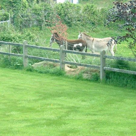 Cillcoman Lodge B&B Westport Eksteriør bilde