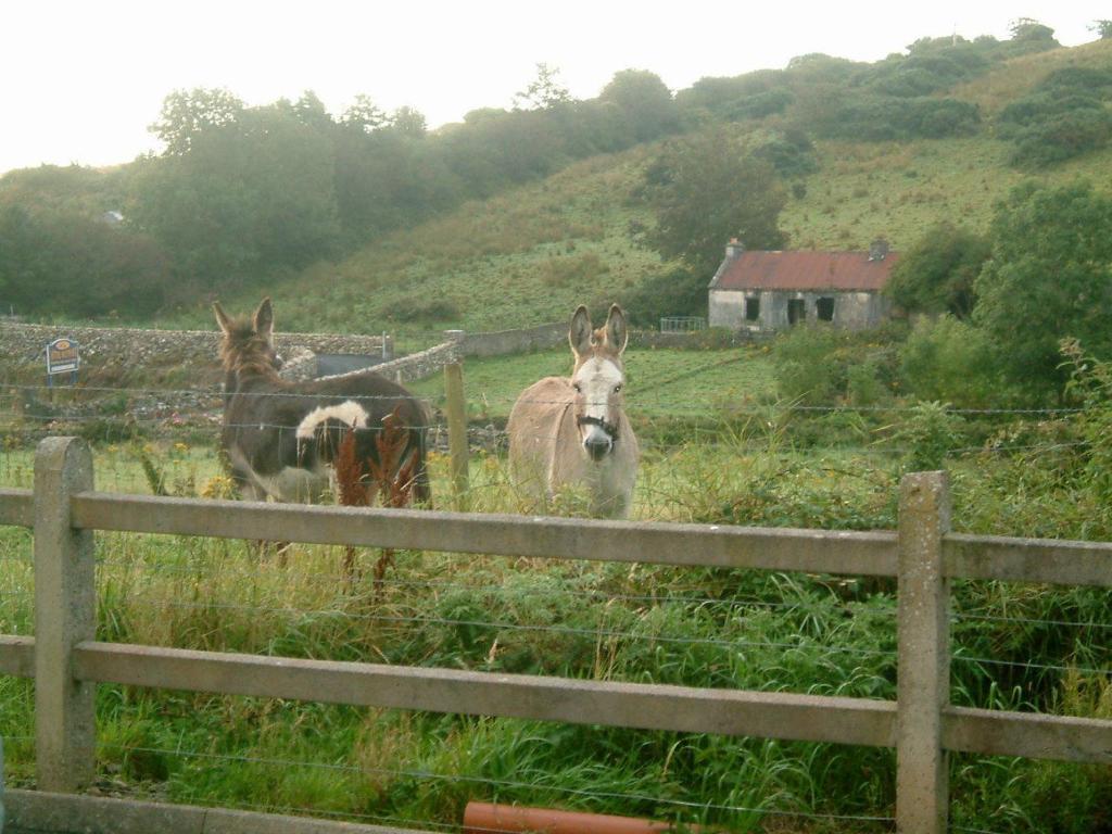 Cillcoman Lodge B&B Westport Eksteriør bilde