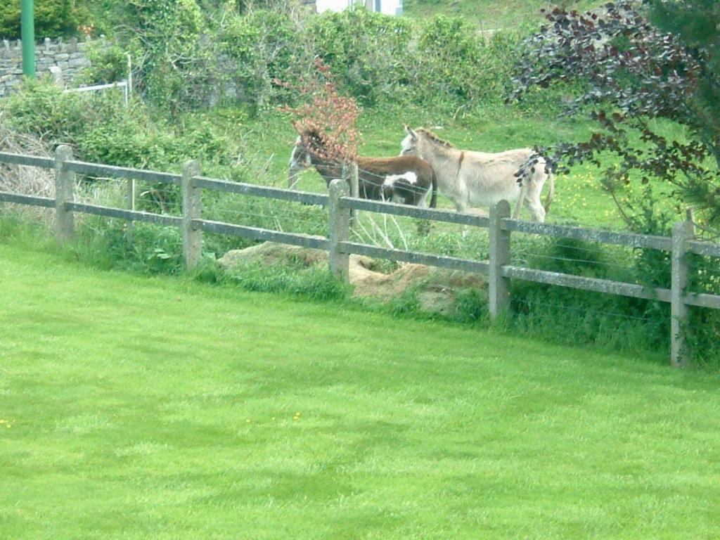 Cillcoman Lodge B&B Westport Eksteriør bilde